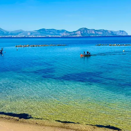 Mediterranea *